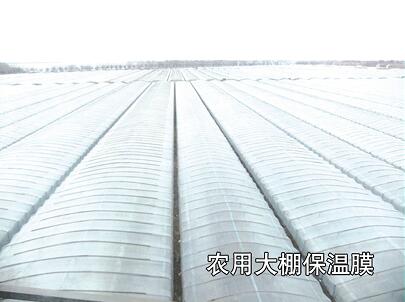 母料在吹膜-工业、农业、包装中的运用